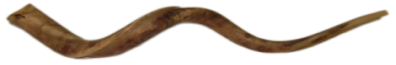 The Whole Bible Christian shofar logo